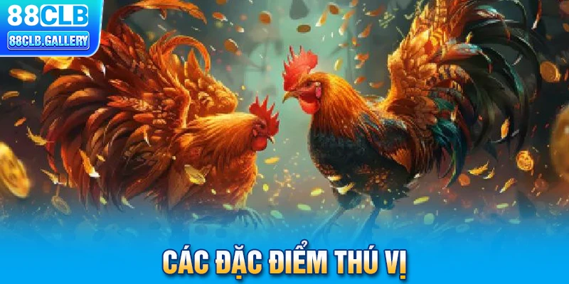 Các đặc điểm thú vị của đá gà Thomo