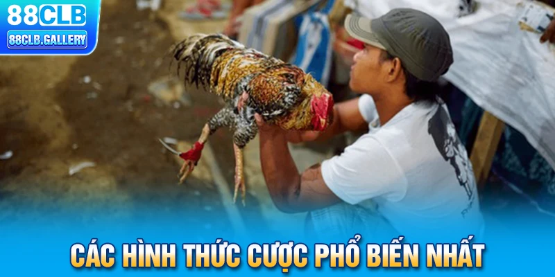 Các hình thức cược phổ biến nhất