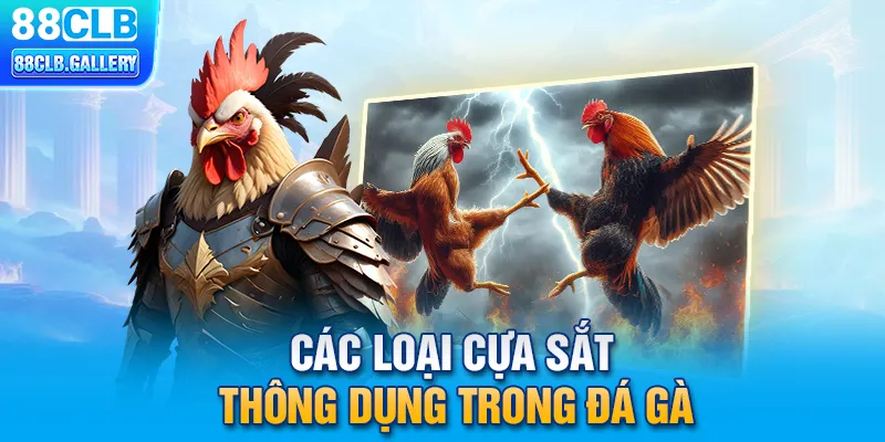 Các loại cựa sắt thông dụng trong đá gà