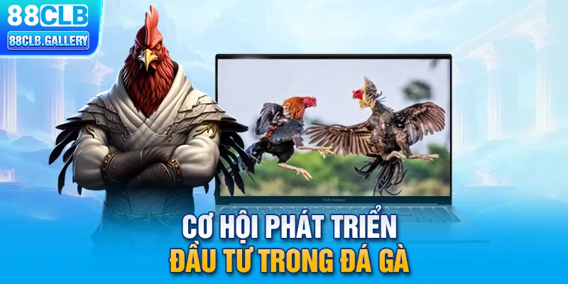 Cơ hội phát triển đầu tư trong đá gà 