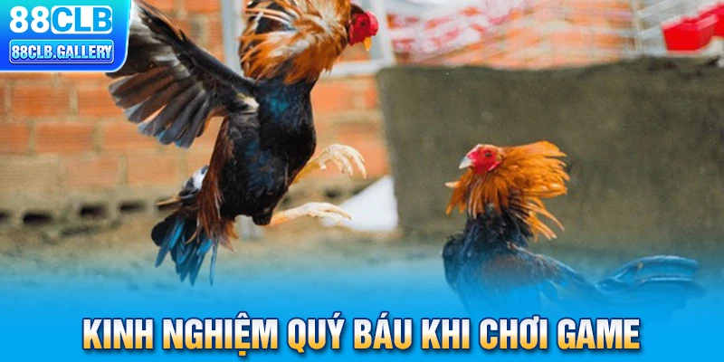 Kinh nghiệm quý báu khi chơi game