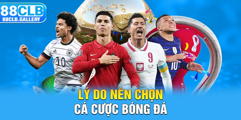 Lý do nên chọn cá cược bóng đá