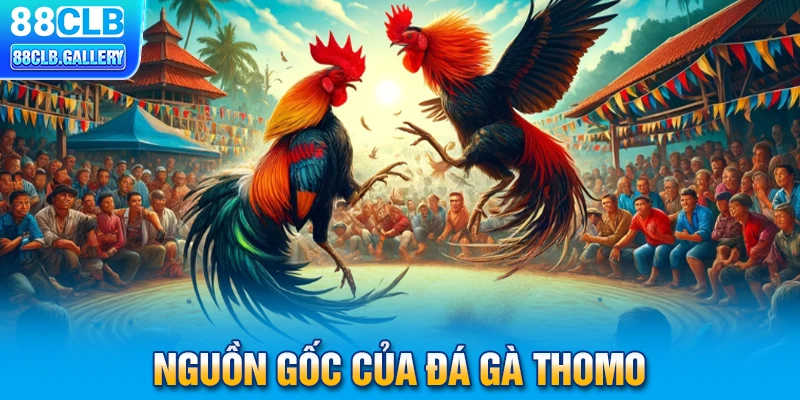 Nguồn gốc của đá gà Thomo