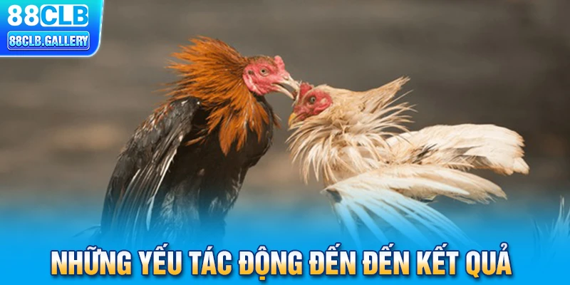 Những yếu tác động đến đến kết quả