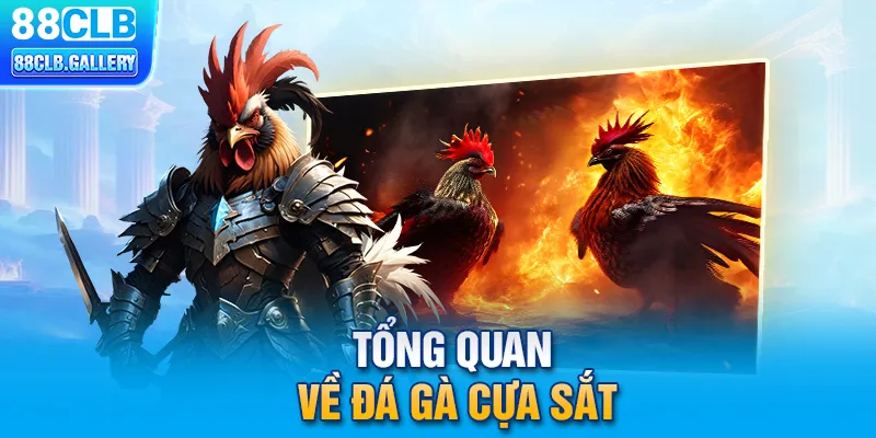 Tổng quan về đá gà cựa sắt