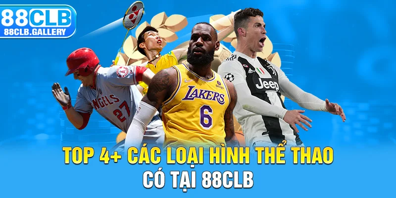 Top 4+ các loại hình thể thao có tại 88CLB